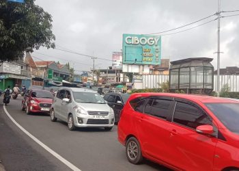 Info Puncak Hari Ini, Minggu 28 Januari 2024