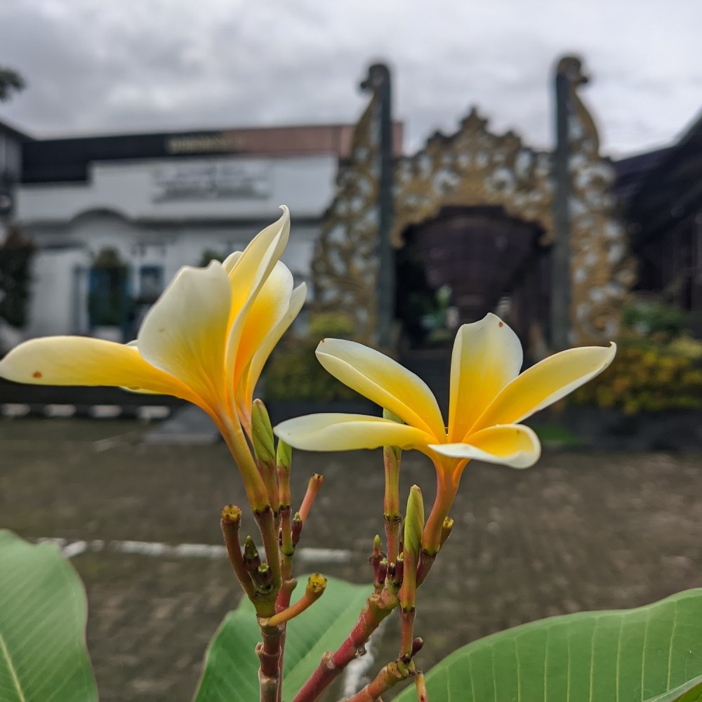 Hotel Bahtera Pelni