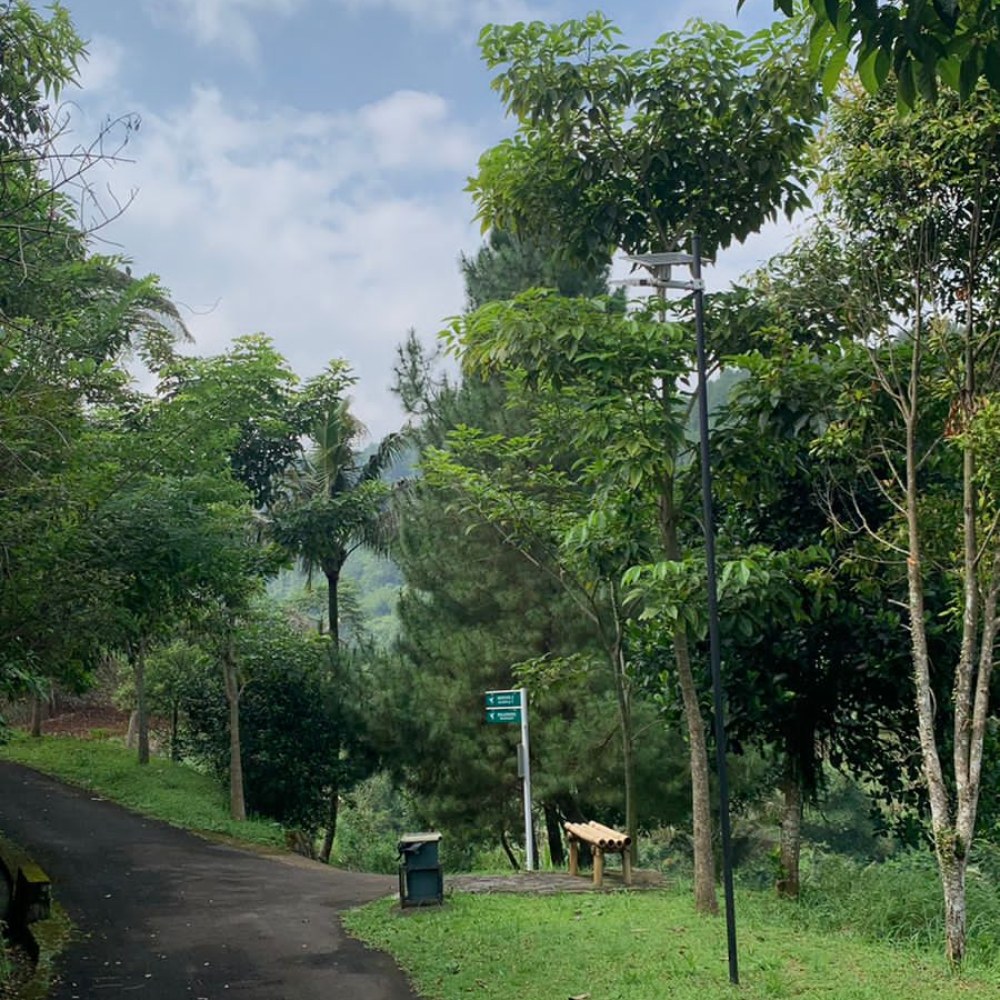 Albero Hotel Bogor