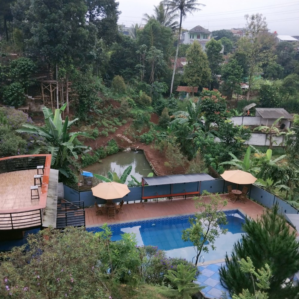 Yocia Dairy Vilage
