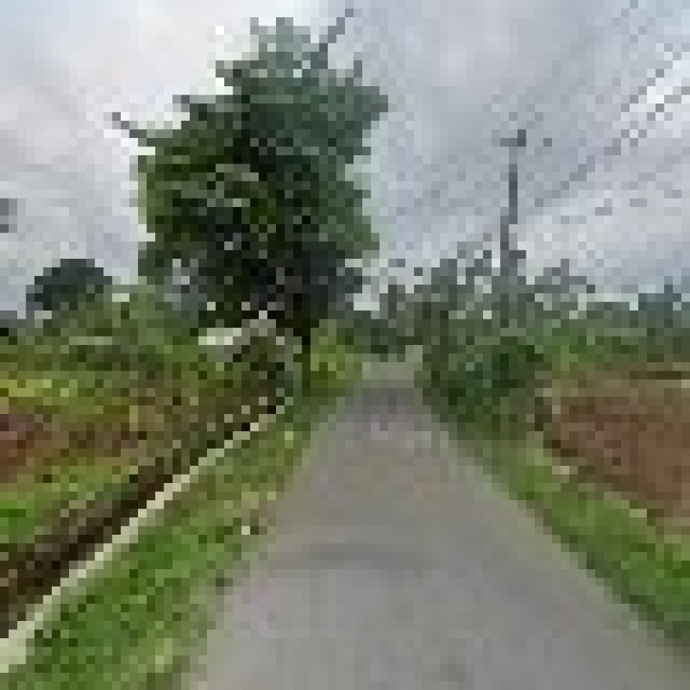 Pondok Amira