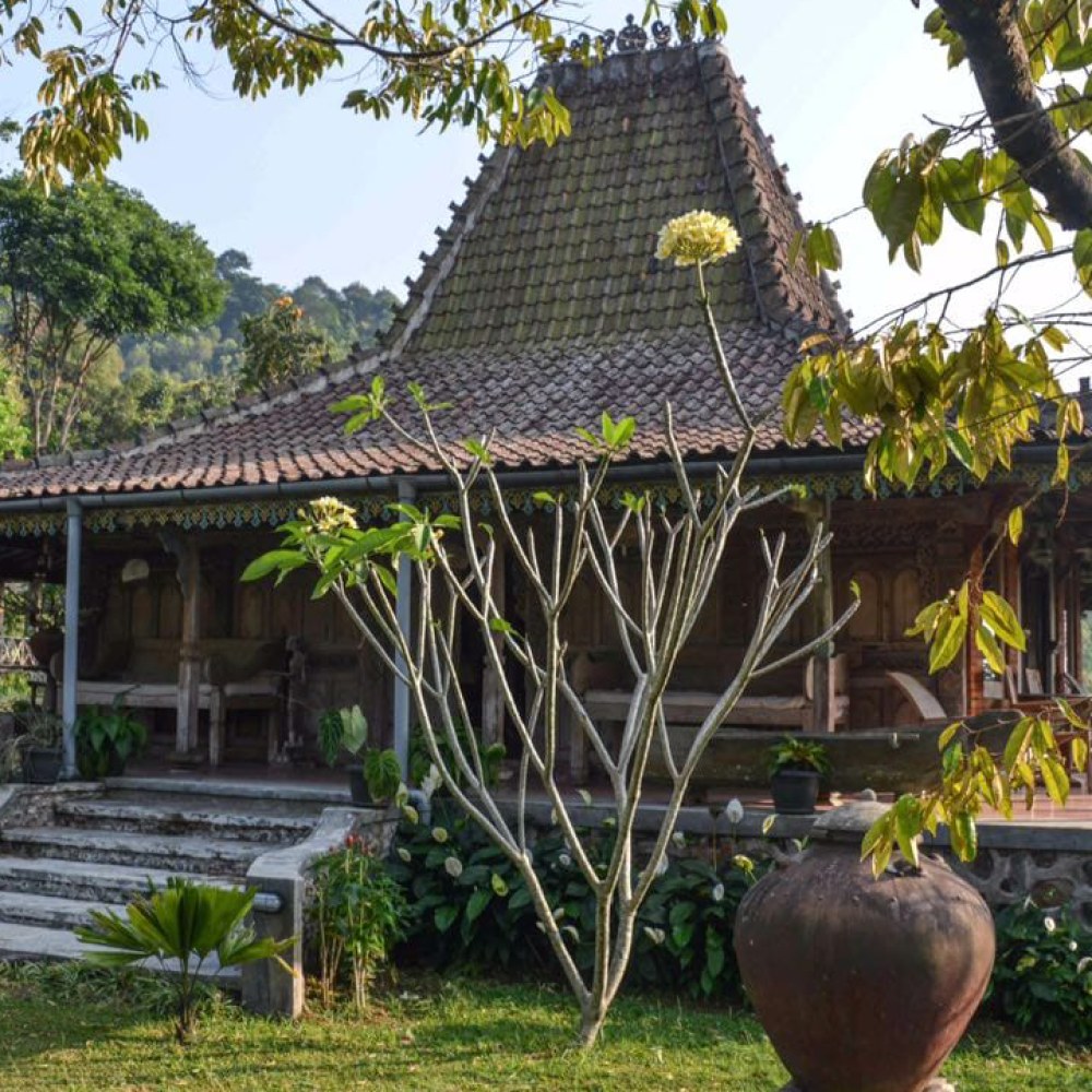 Rumah Jawa Antik