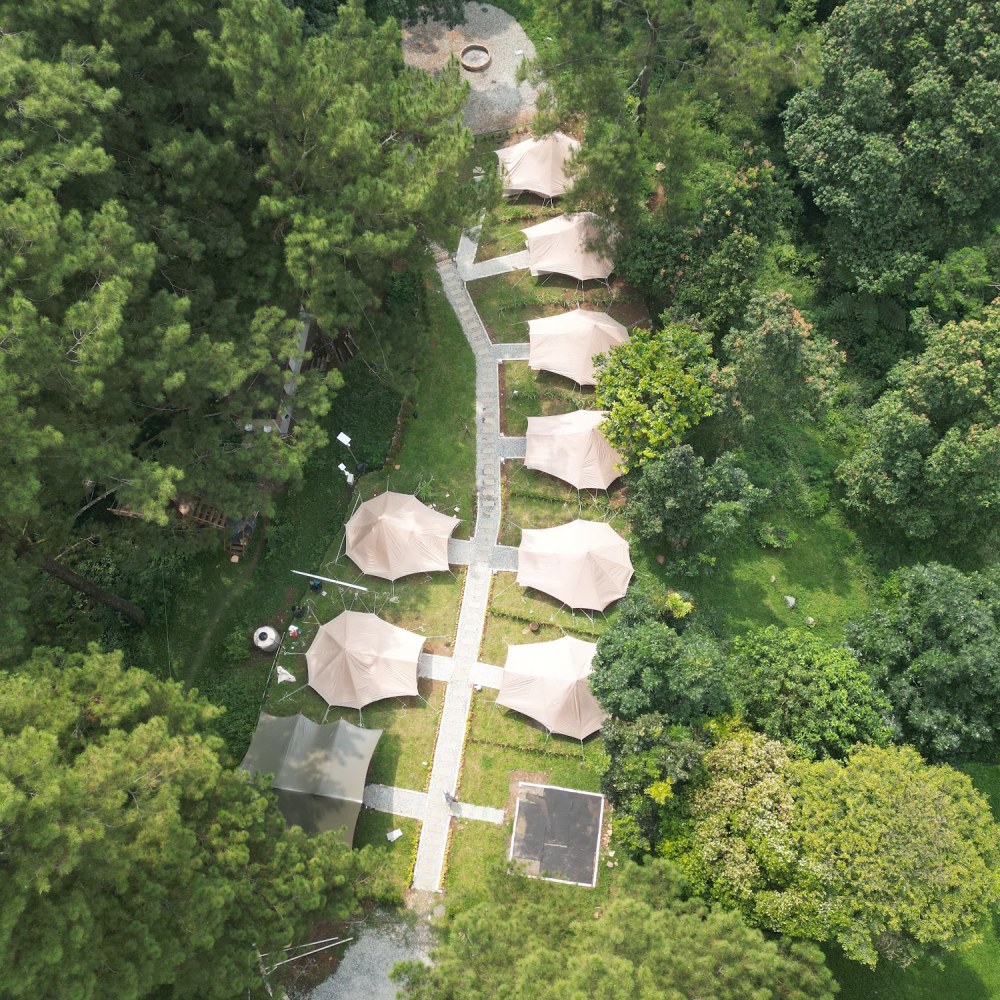 Kabut Pinus - Comfort Camp