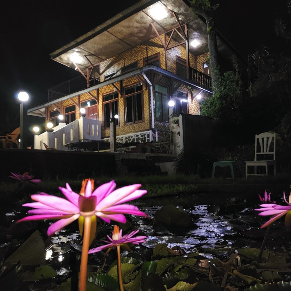Salak Sunrise Homestead