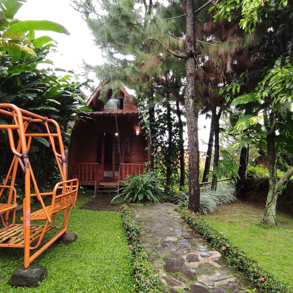 Saung Orange
