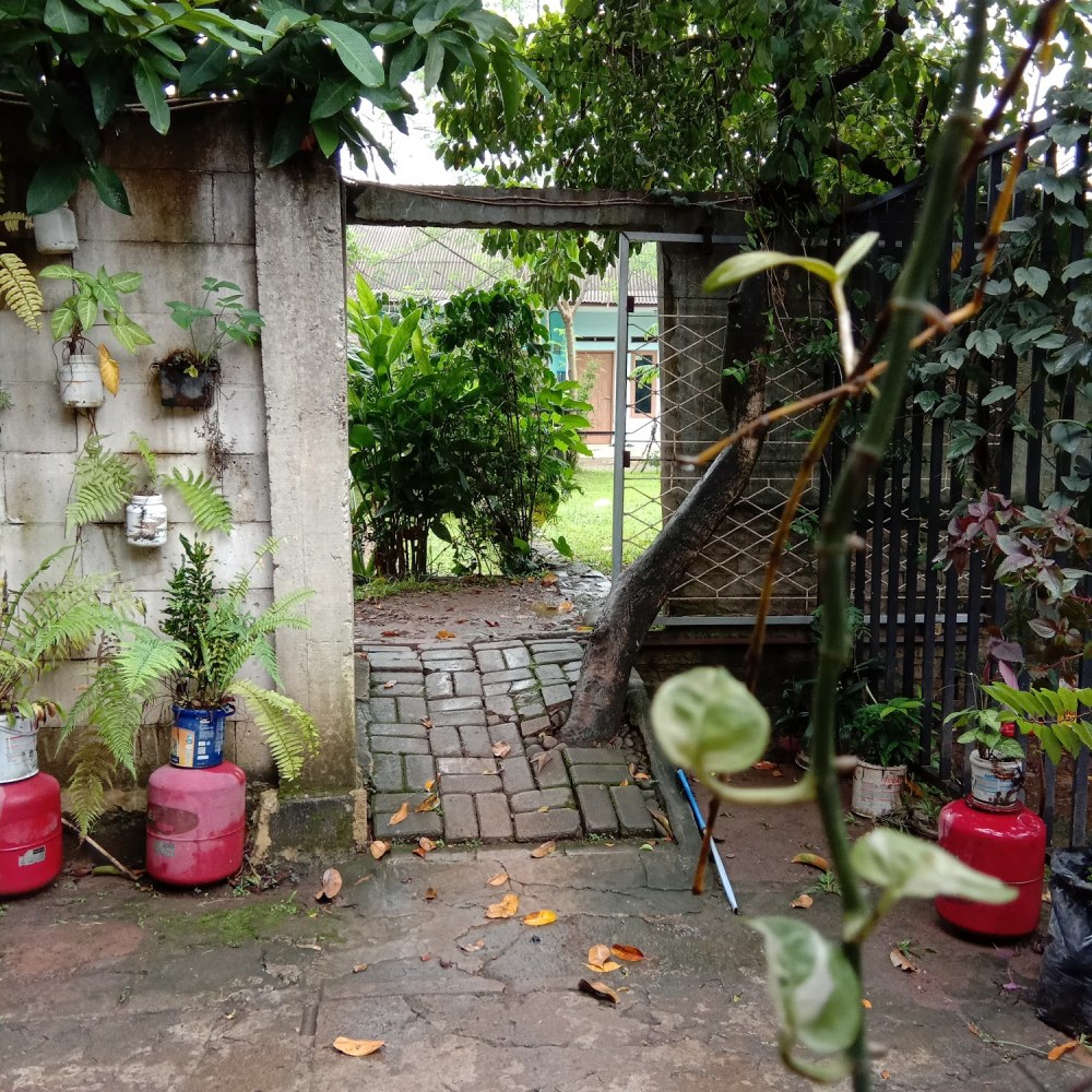 Kos Kosan Sabana