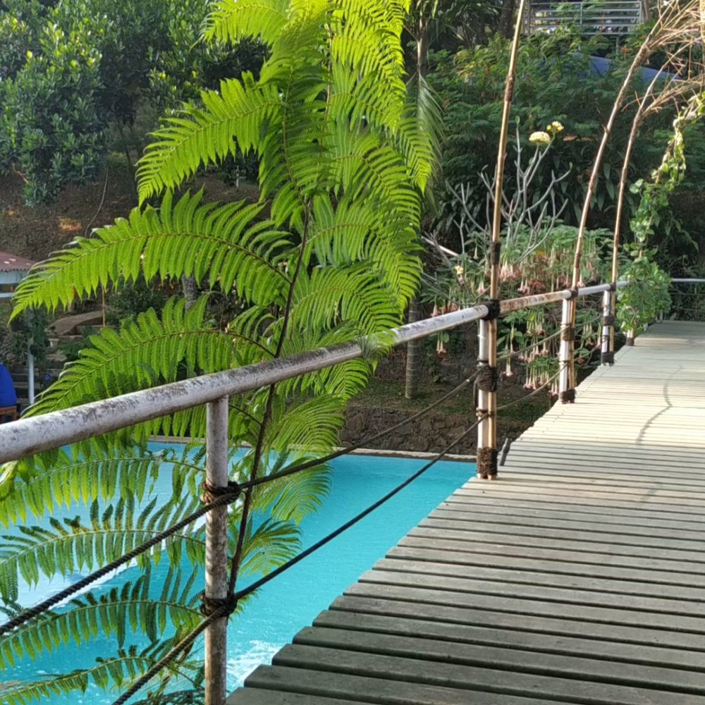Gunung Geulis Campsite