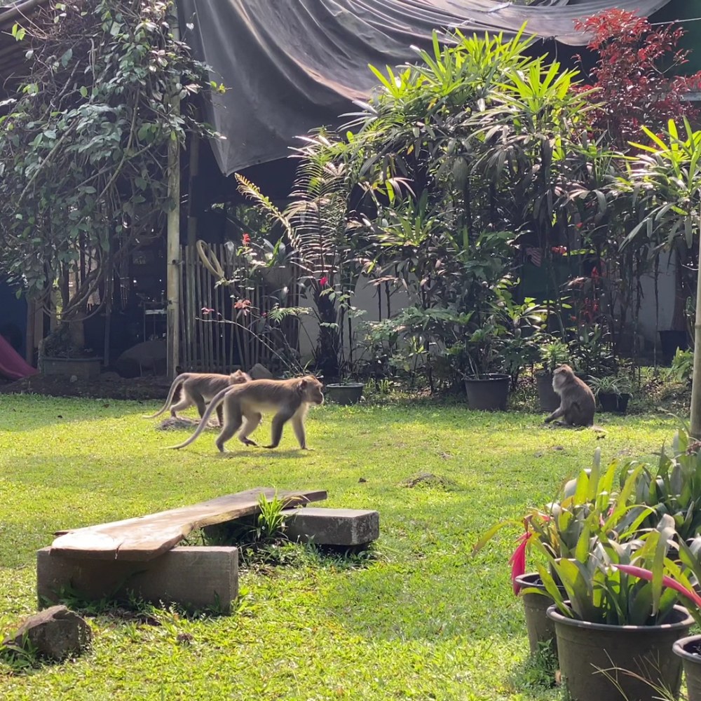 Herman Lantang Camp