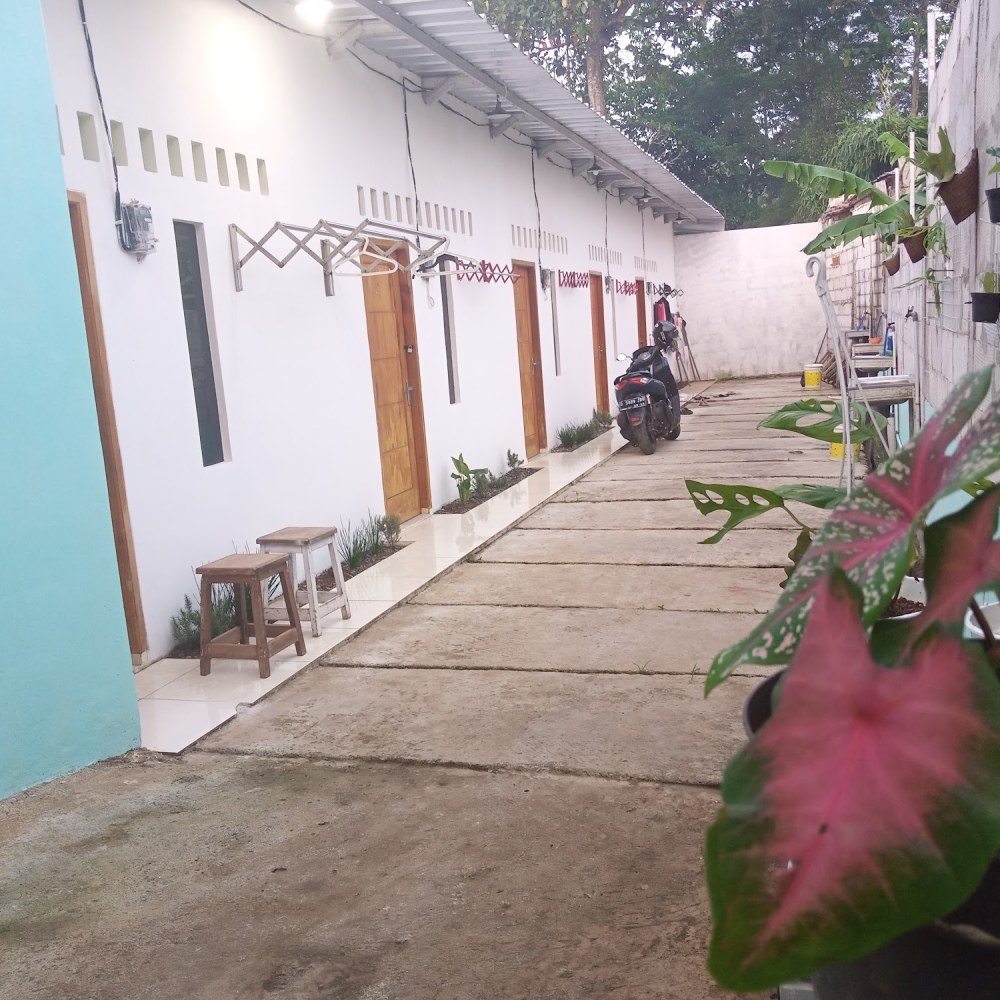 CIKO KOST