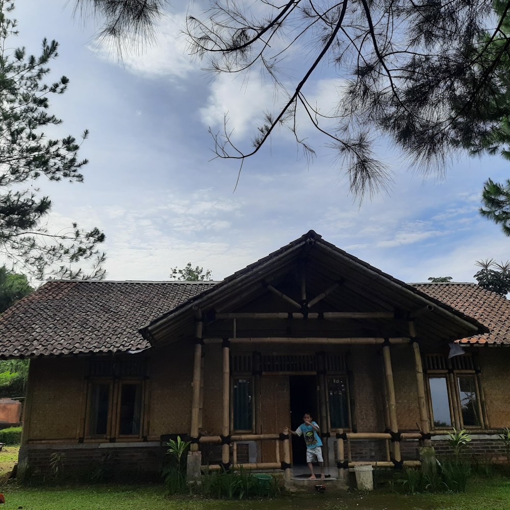 The Radiant Bamboo Village