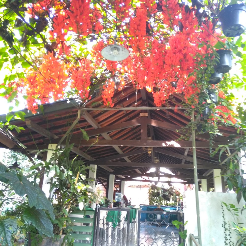 Buena Vista Boutique Hotel