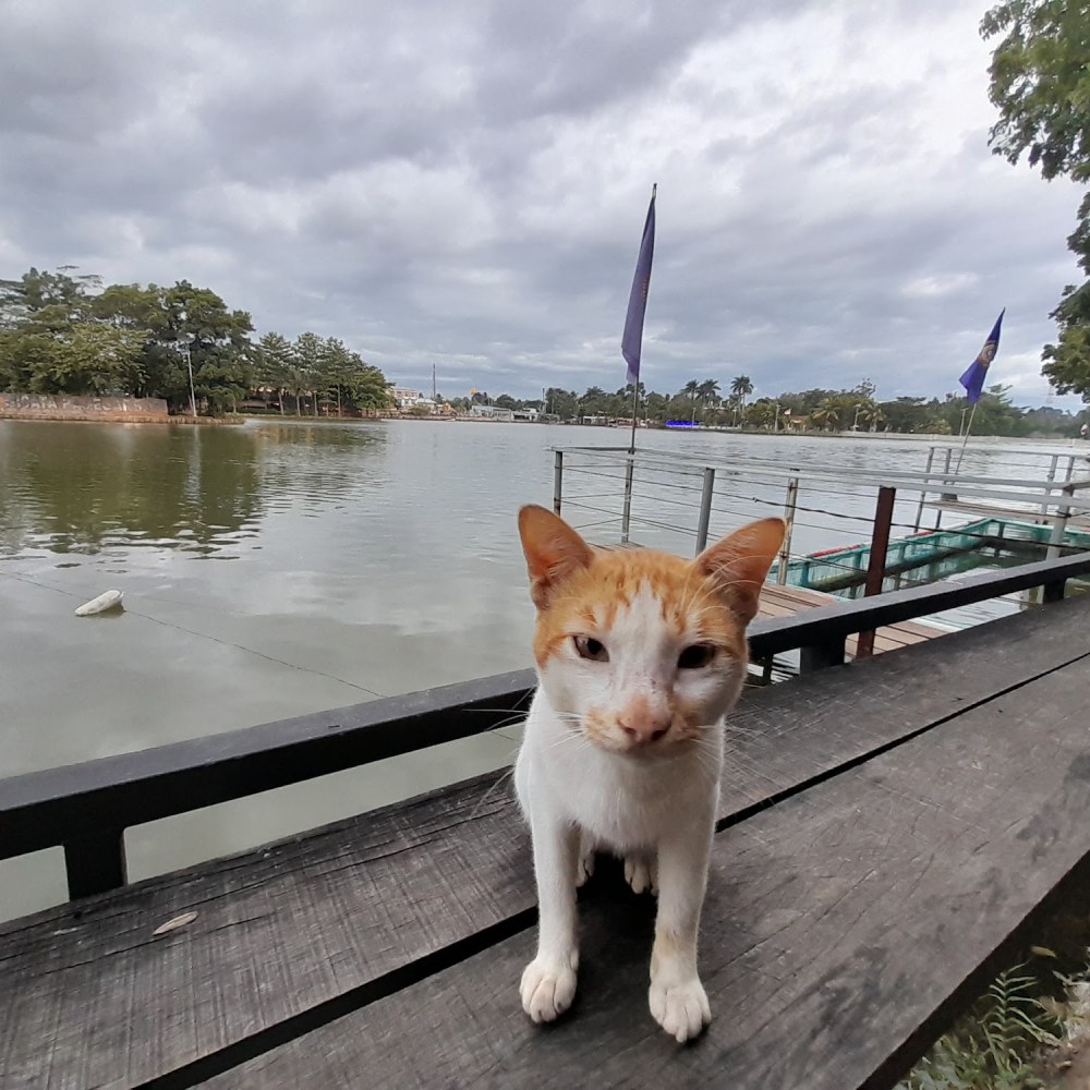 Setu Lebak Wangi, Desa Wisata Pamegarsari