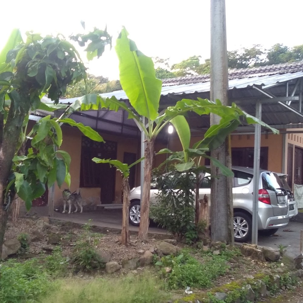 Irvan resort