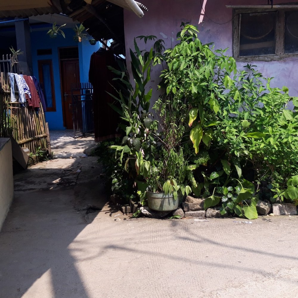 Kost Pak Eko
