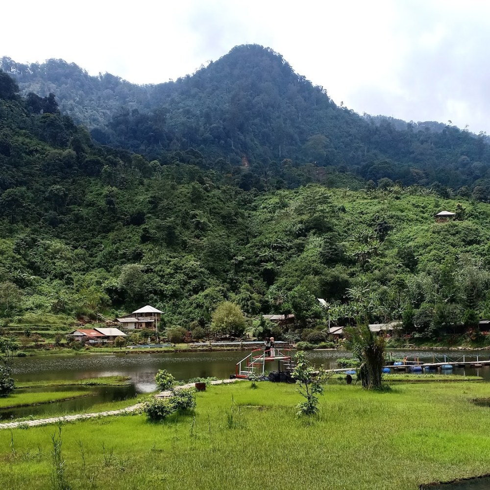 Agrowisata Kopi Rawa Gede