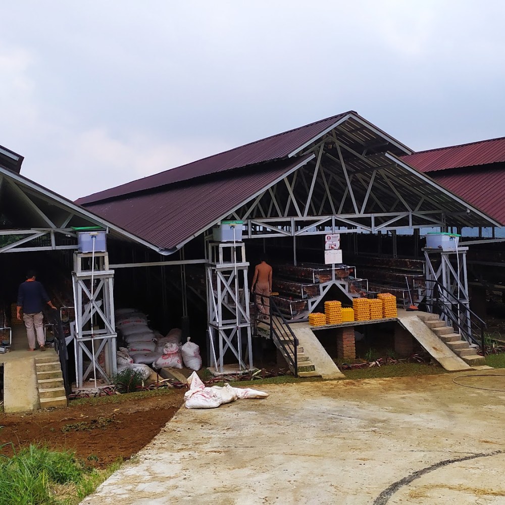 Garuda Farm Sentul - WISATA EDUKASI ANAK TK DAN SD