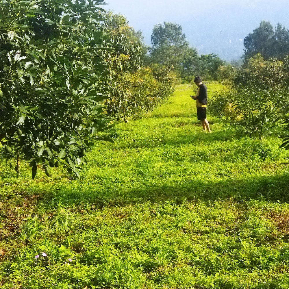 PT Spektani Berkah Agro