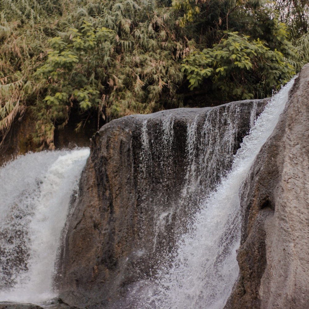 Curug bayawak