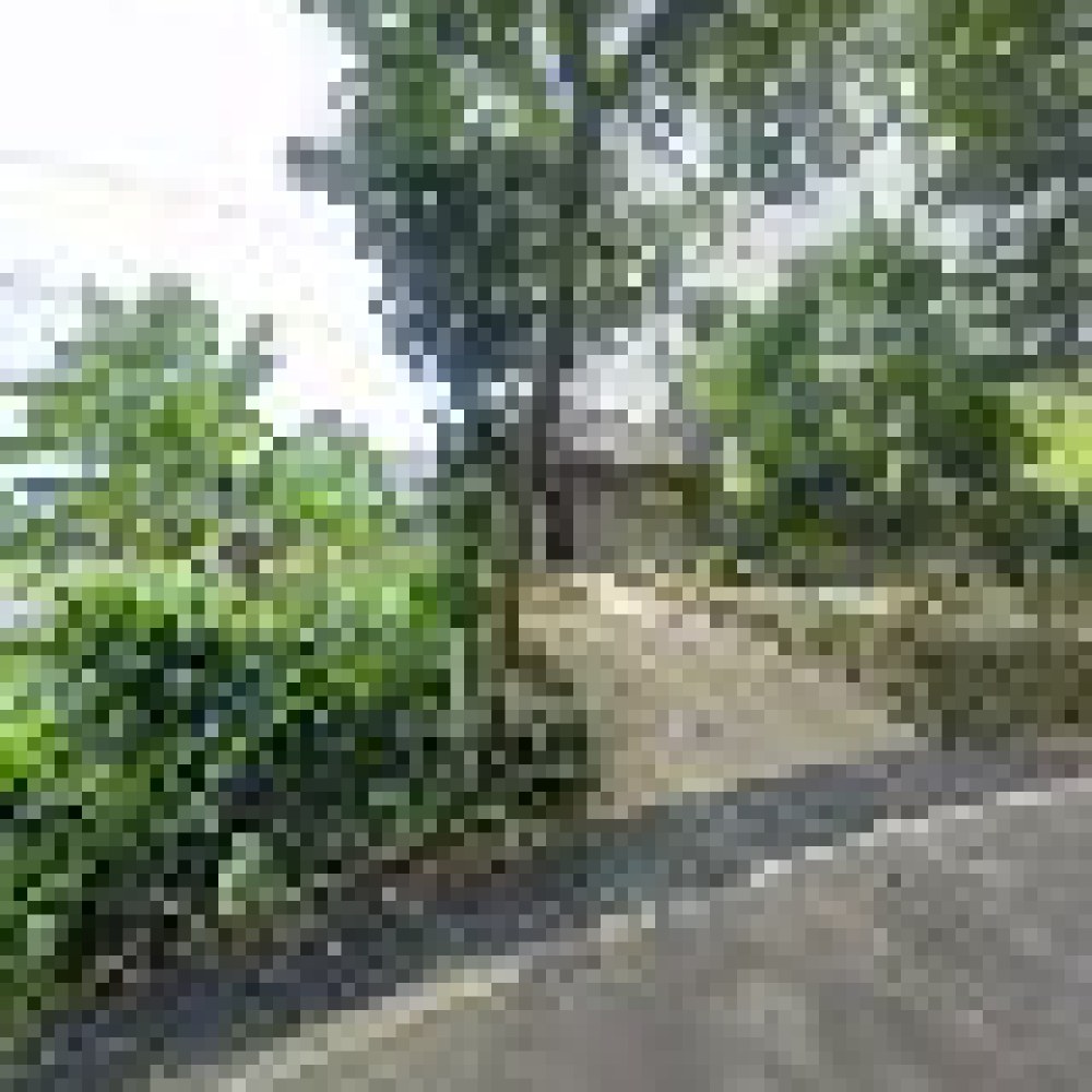 Villa Prabowo Hambalang