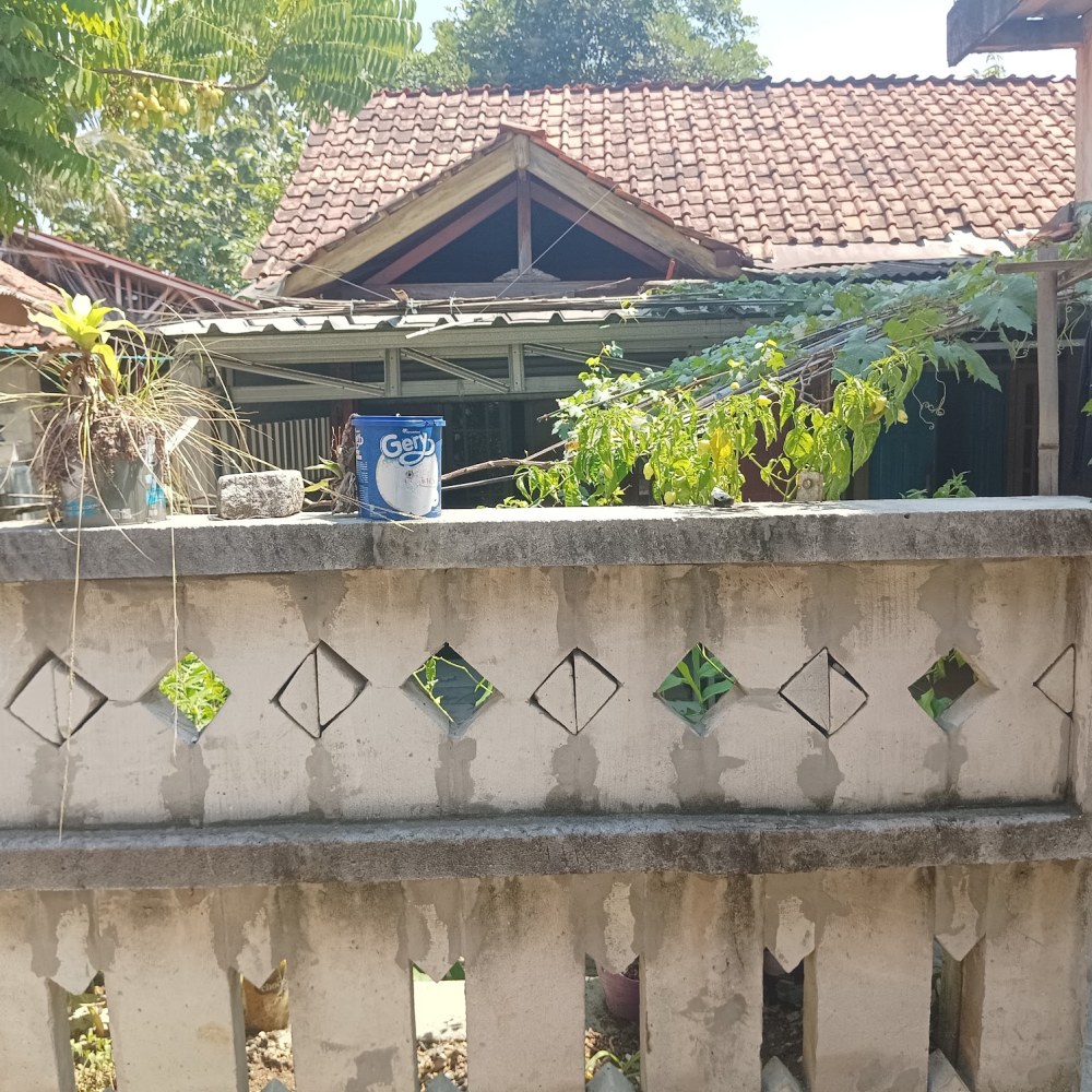 Rumah ekyy dimari