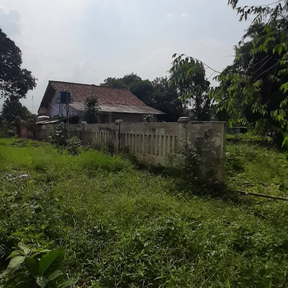 Tugu Lele Ciseeng
