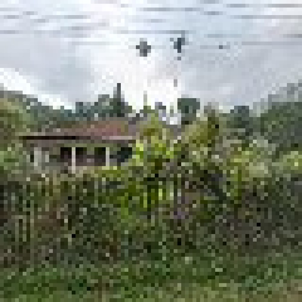 Batu Tapak Seuseupan Ciawi