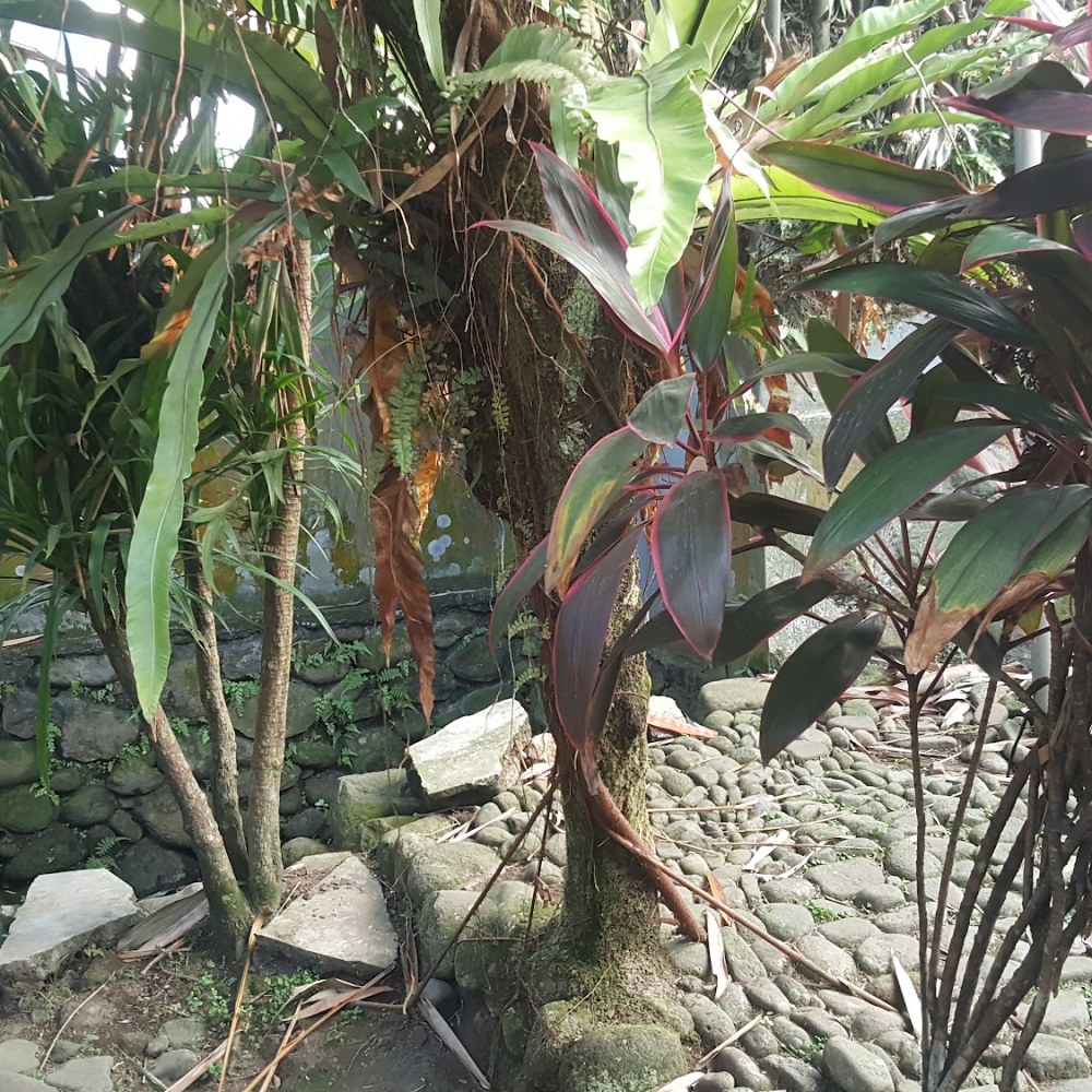 Taman Sri bagenda