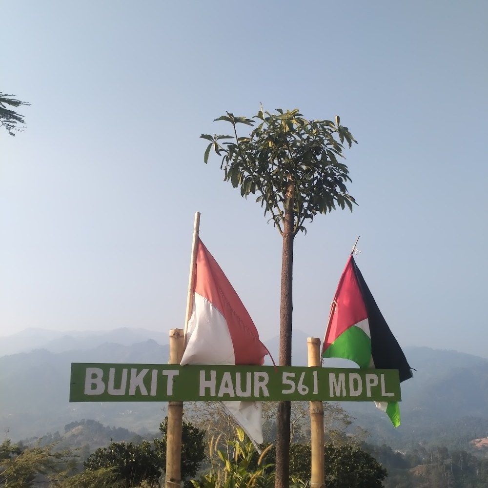 Bukit haur