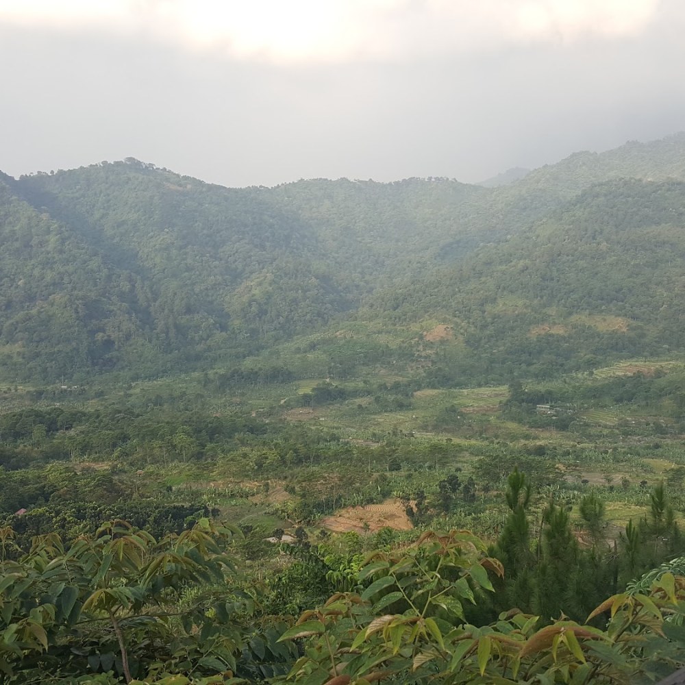 Bukit Kayangan