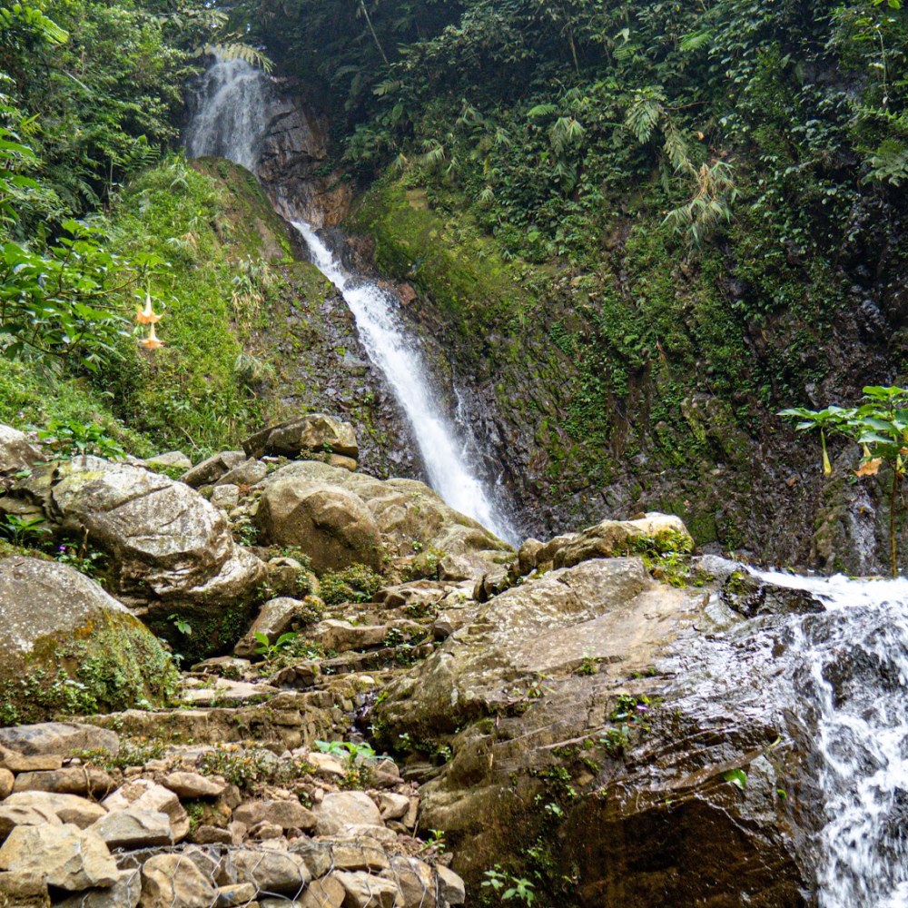 Curug Arca, Bhutan Van Java