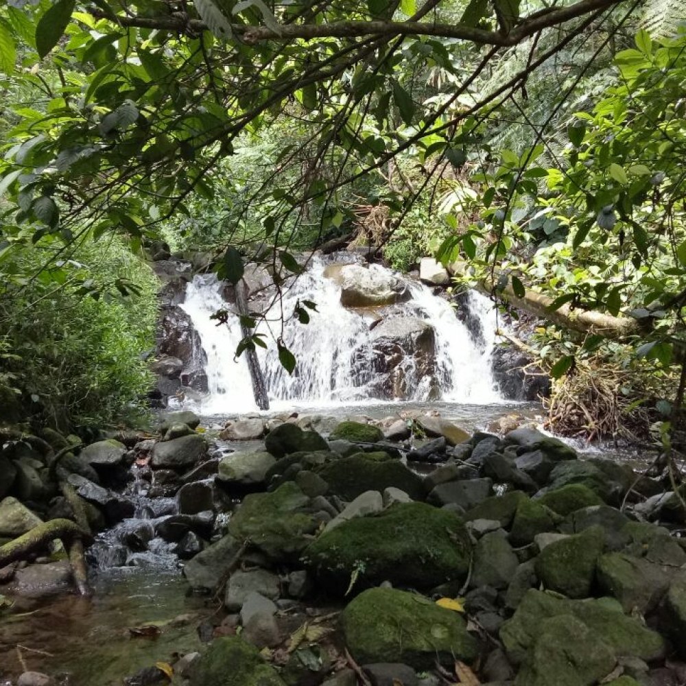 Air Terjun Curug Pariuk