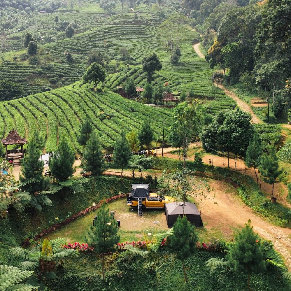 Pinus Eco Park Camping Ground