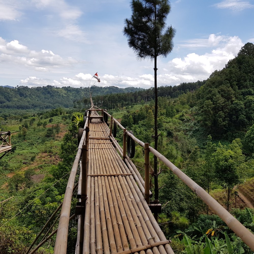 Hutan Pinus Gunung Pancar Camp Outbound