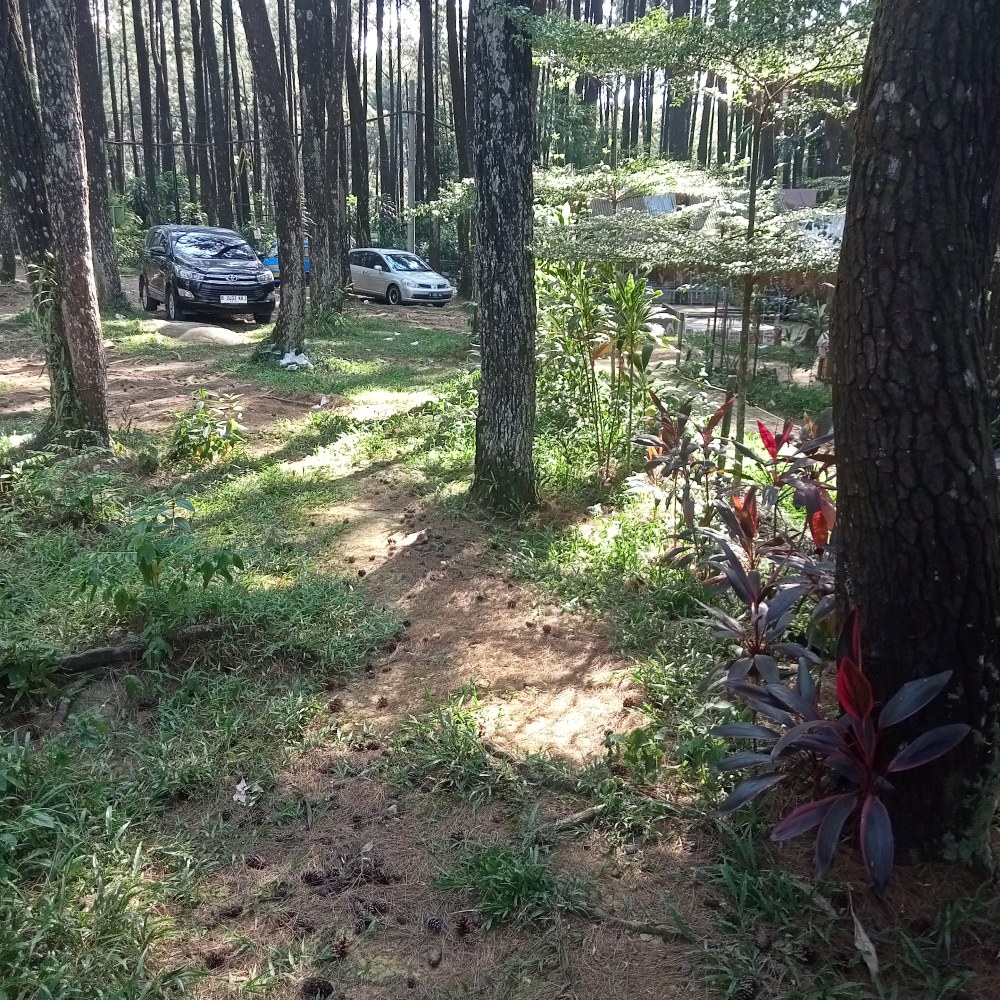 Taman Rekreasi Gunung Pancar