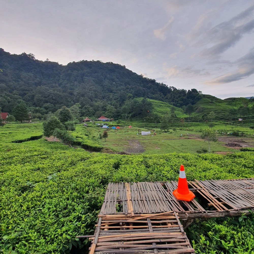 Wisata Javana Sehat