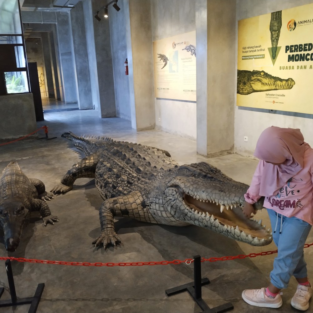 Animalium