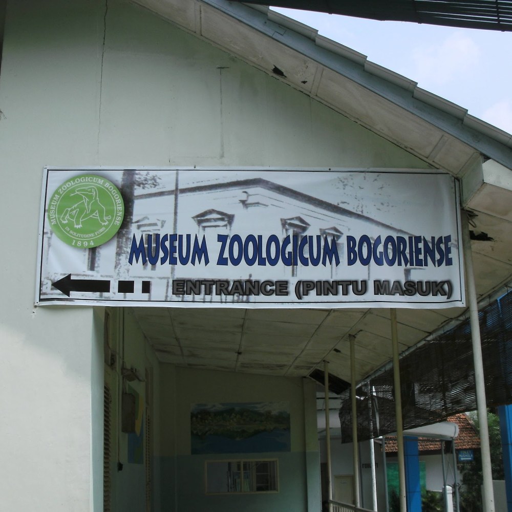 Gedung Widyasatwaloka