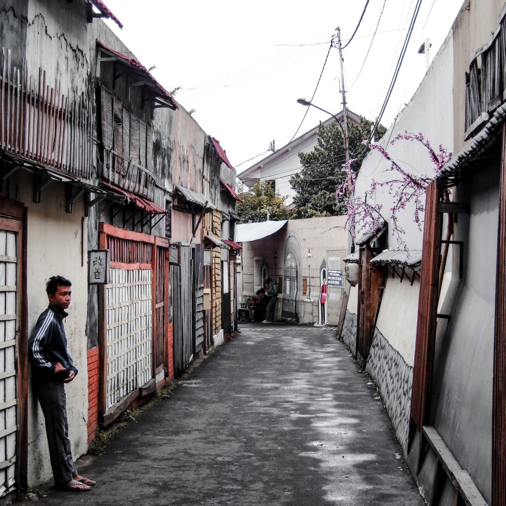 Bogor rasa jepang
