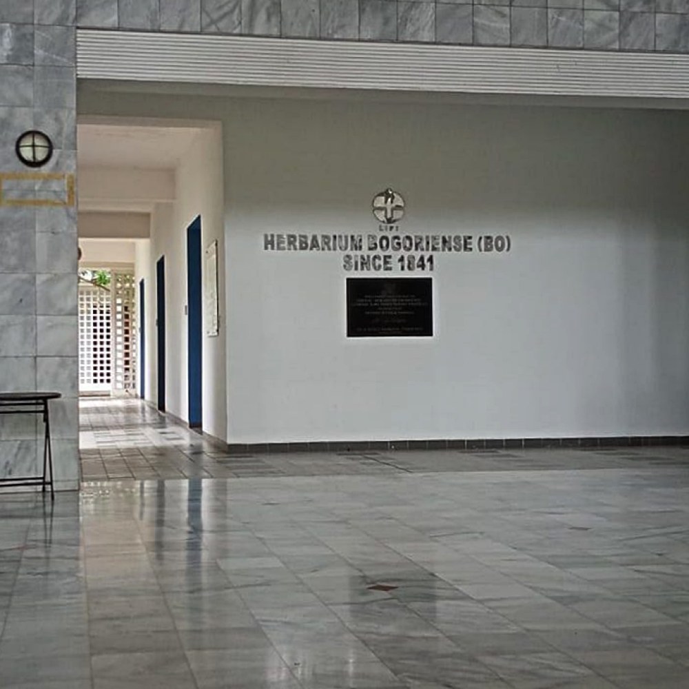 Herbarium Bogoriense (BO), Research Center for Biology - Indonesian Institute of Sciences (LIPI)