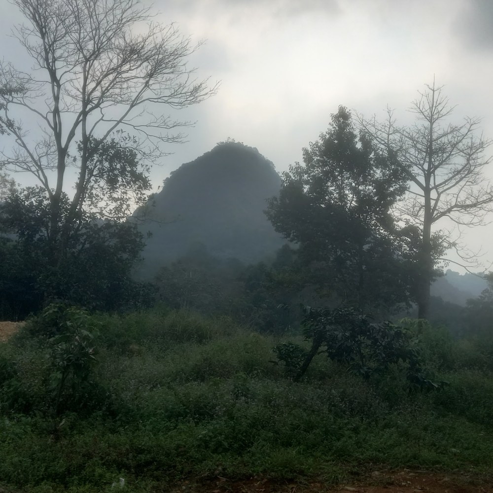 Gunung Pakuan