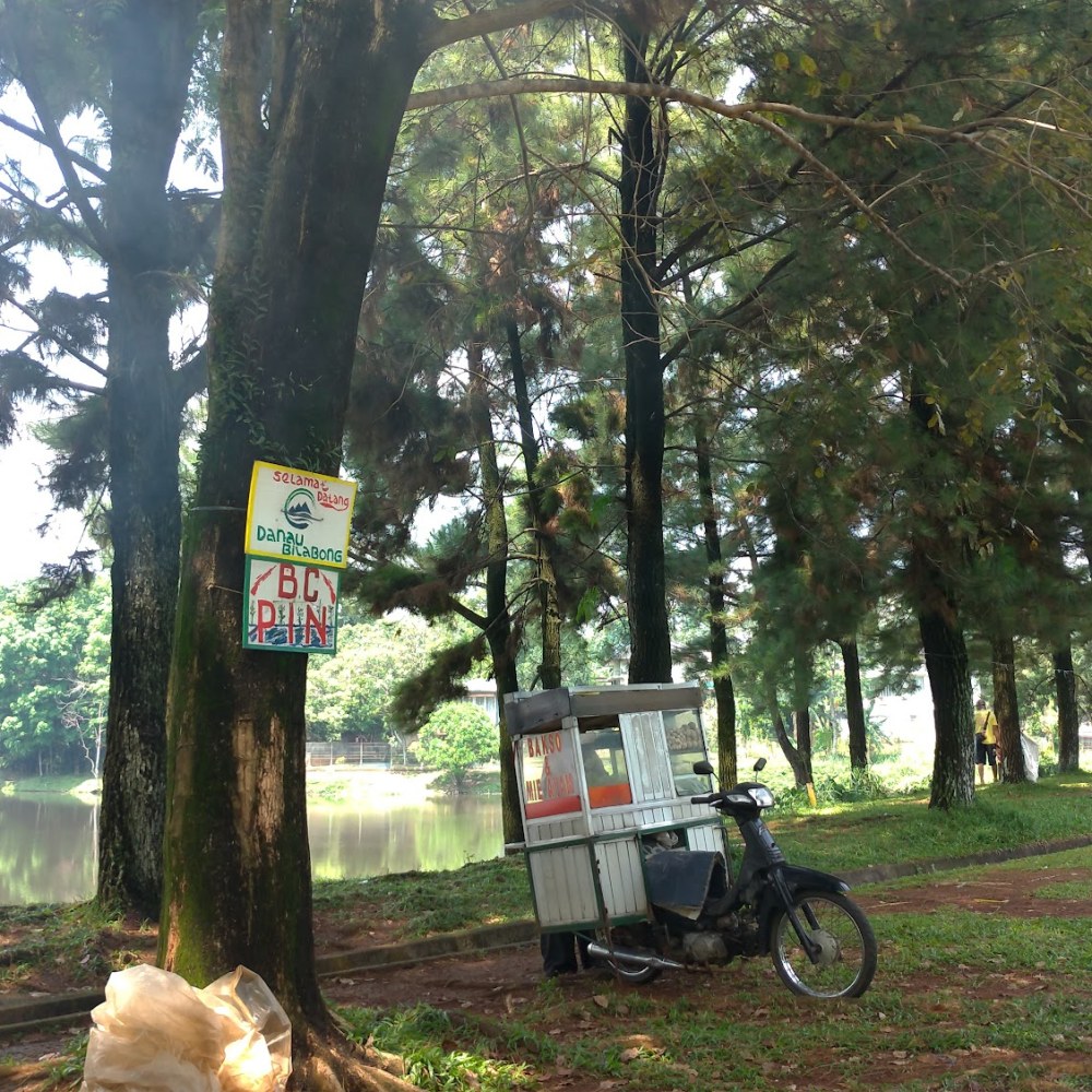 Taman Setu