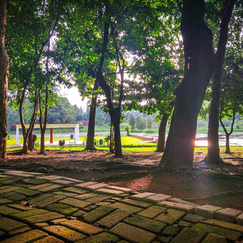 Kebun Raya Cibinong