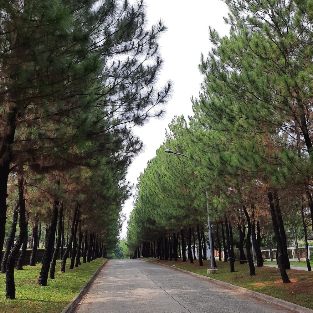 Taman andalusia sentul City