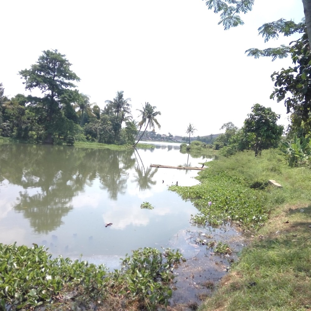 Situ Cibinong