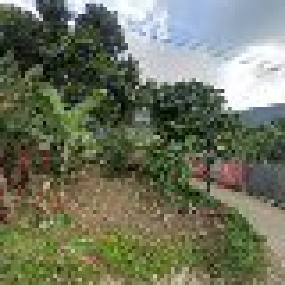 Tereking wisata Sentul