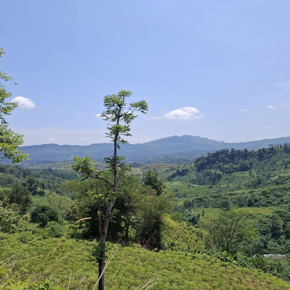 Meeting Point HillTrek