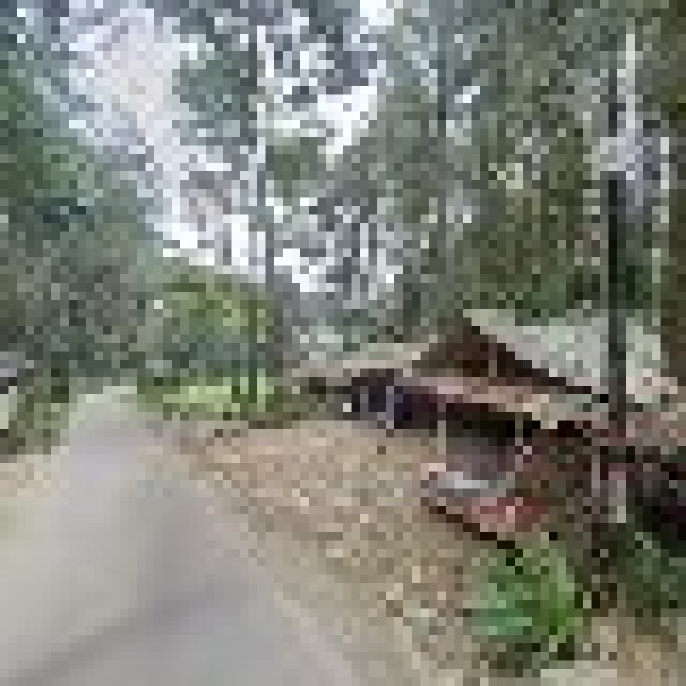 Soenda Luhur
