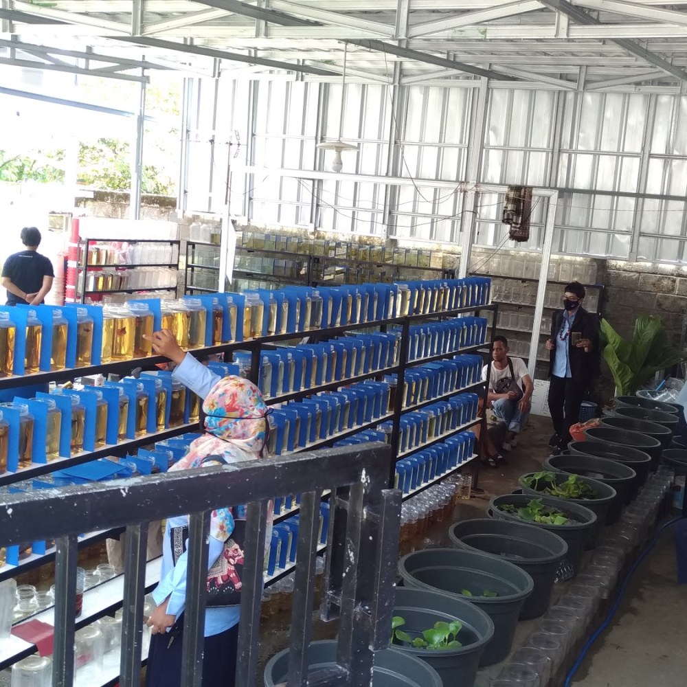 KPC LEBAK OCA MANDIRI