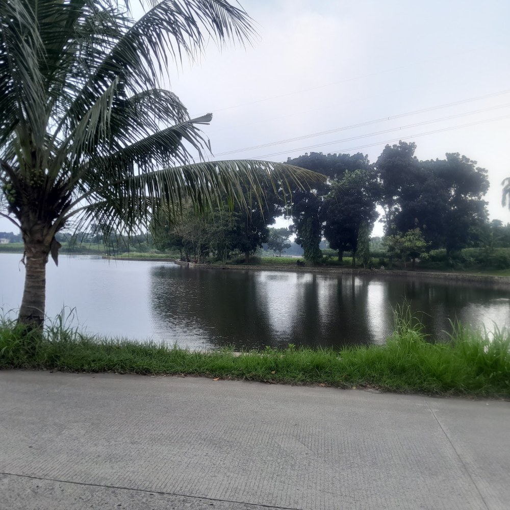 Setu Tonjong spot foto