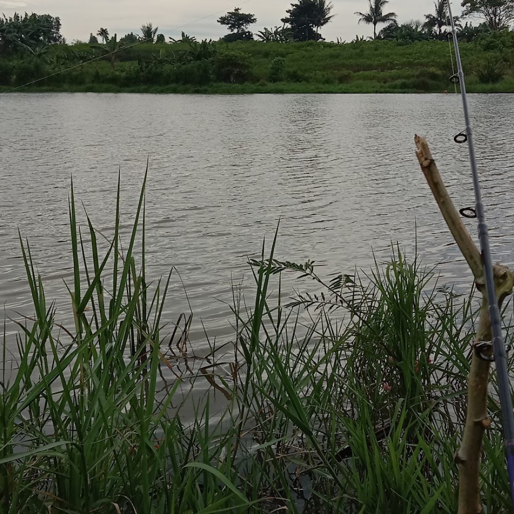 Rawa Cupang
